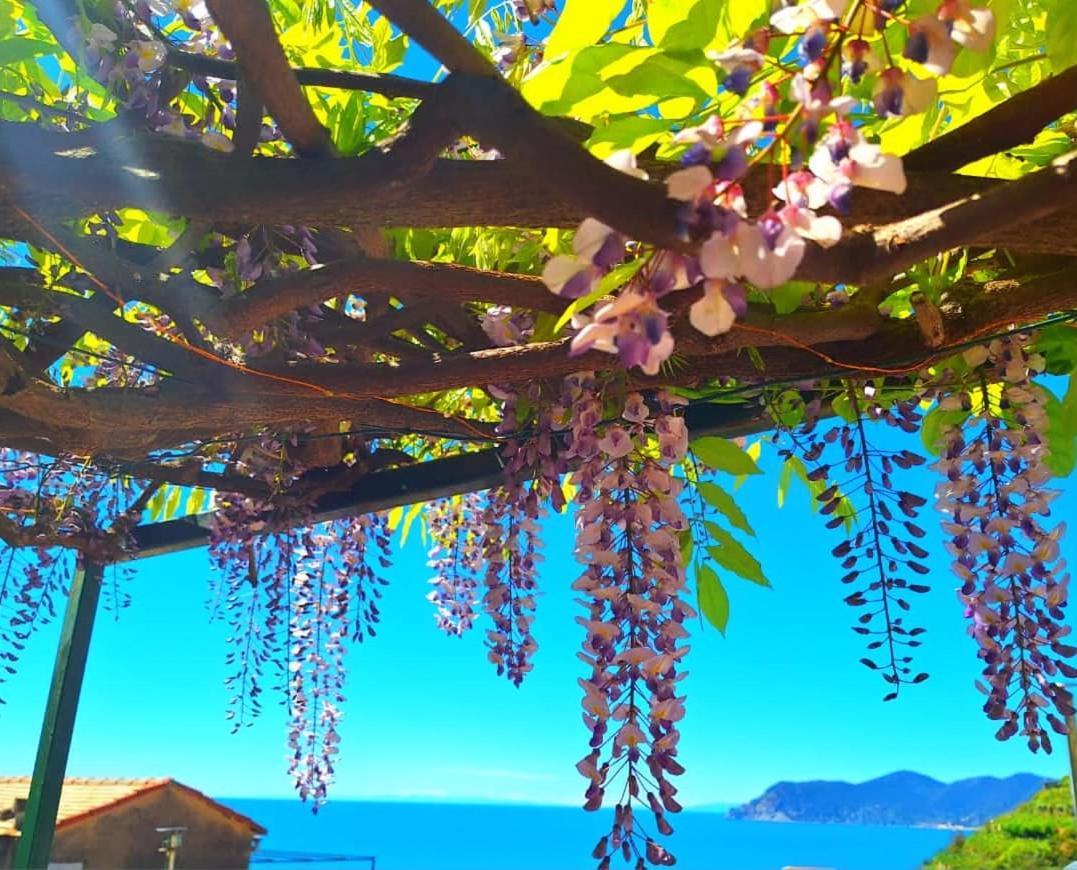 Sunset Manarola Apartment ภายนอก รูปภาพ